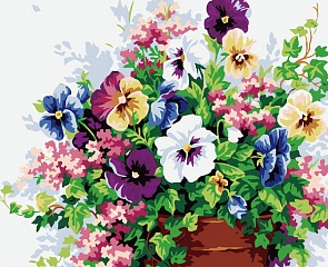 Раскраски по номерам - Анютины глазки, 40 х 50 см. (Белоснежка, 571-CG)